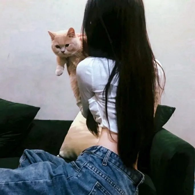 罪证子弹3