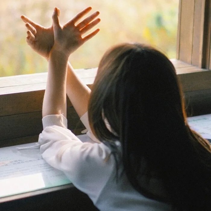 境界战机第二季